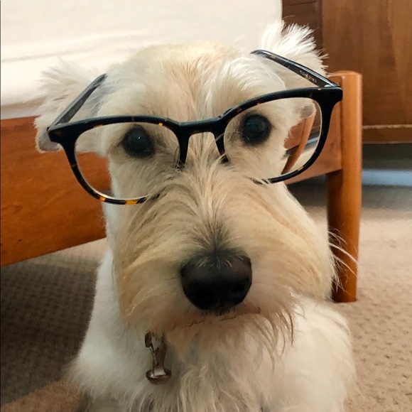 Meet your Posher, Kevin - Picture 1 of 1